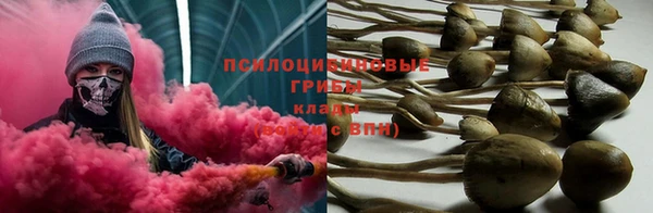 ПСИЛОЦИБИНОВЫЕ ГРИБЫ Беломорск