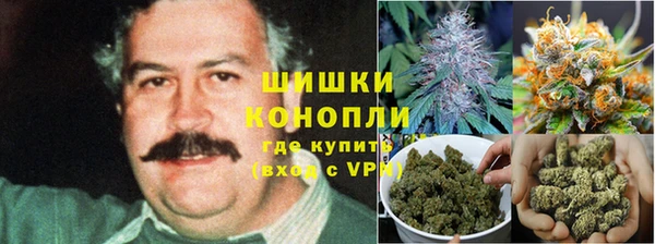 ПСИЛОЦИБИНОВЫЕ ГРИБЫ Беломорск