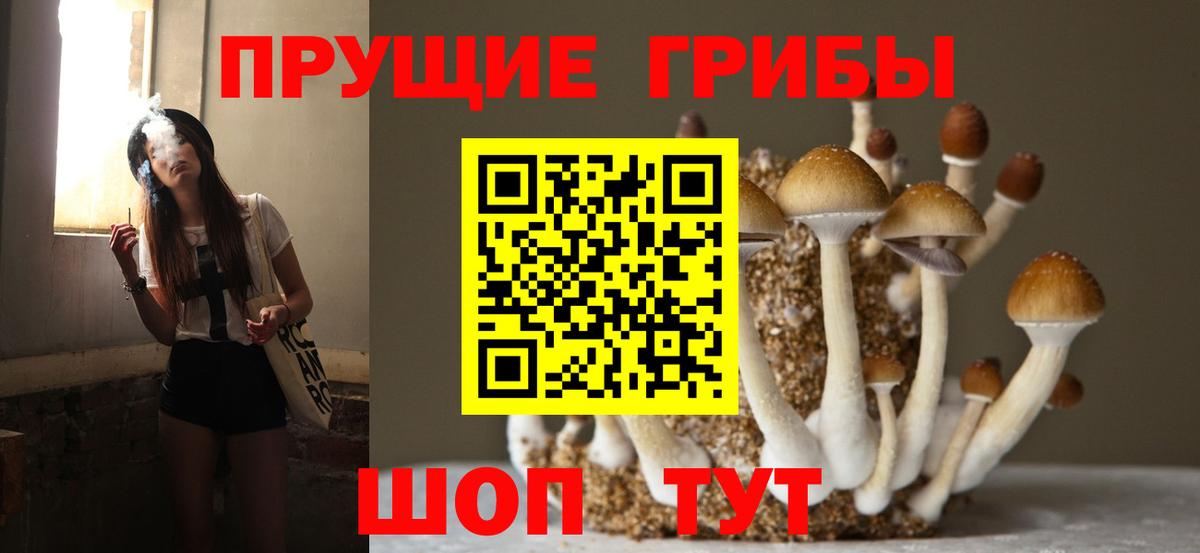 Галлюциногенные грибы мицелий Апатиты